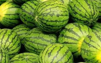 吃瓜炸裂 每日大赛,每日大赛精彩瞬间大盘点